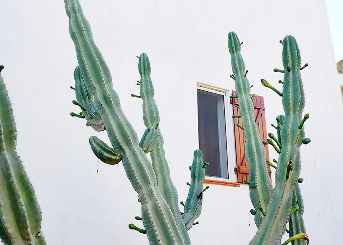 Дом отдыха Anna 300 M Dal Mare