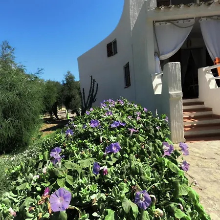 Anna 300 M Dal Mare Holiday home Torre delle Stelle
