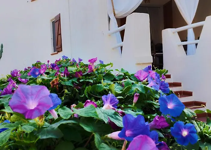 Anna 300 M Dal Mare *